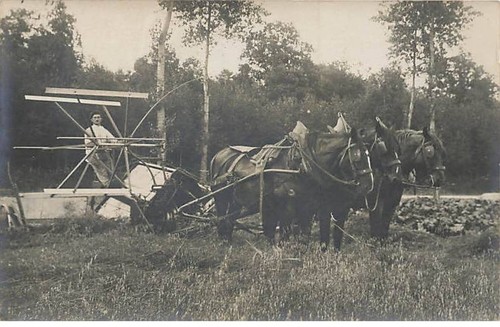 Carte photo agriculture - carte-photo,