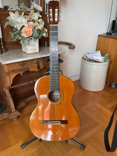 Takamine 134s classical - takamine, guitar
