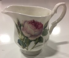 ROY KIRKHAM REDOUTE ROSE