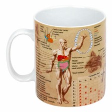 Könitz Medicine Knowledge Mug Tasse anglaise Tasse à café en porcelaine 460ml