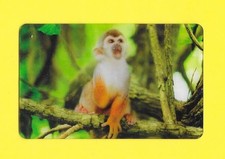 Carte Cora / Match - N°26/44