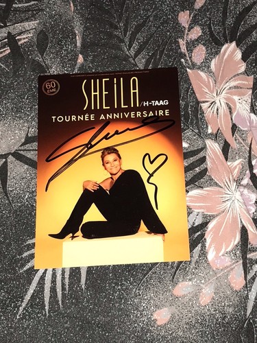 Sheila photo cartonnee - sheila,