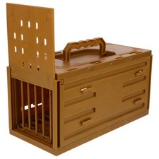  Cage Perroquet Caisse De