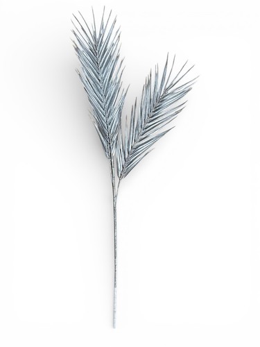 Branche palmier - branche, de