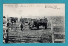 Auvergne : Sur la Montagne 
