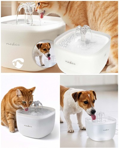Fontaine eau pour chats - à,