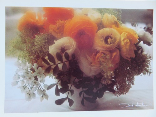 Carte postale david - postale,