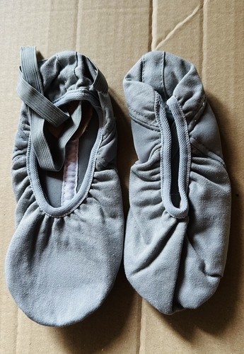 Repetto demi pointe t032y grey - pointe,