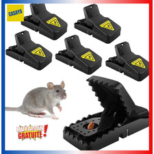 Lot 6 Pièges à Rats Souris Professionnels Réutilisables Extrêmement Efficaces
