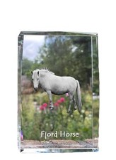 Cheval Fjord cristal avec un