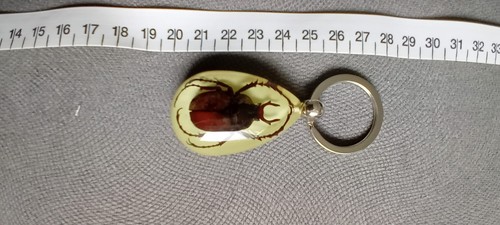 Porte clés vintage insecte - porte-clés,
