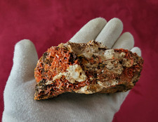 MINERAUX - CROCOITE TASMANIE AUSTRALIE - 11 X 5 - 405,50 gr
