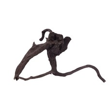 Aquarium Racine Déco Noir