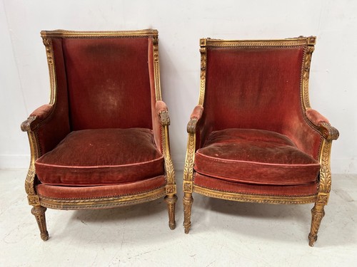 Deux bergères oreilles de - a,
