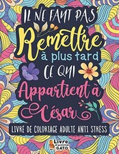 Livre de coloriage Adulte Anti stress: Il ne faut pas remettre a plus tard ce qu