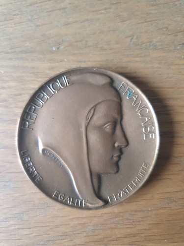 Médaille député aisne - député,