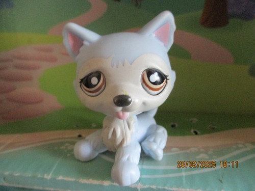 Petshop chien husky 1046 - chien,