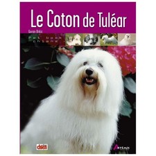 Le Coton de Tuléar