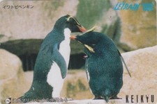 Carte JAPON - ANIMAL - OISEAU MANCHOT GORFOU SAUTEUR - PENGUIN BIRD JAPAN card