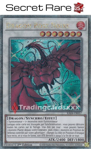 Dragon rose noire - dragon,