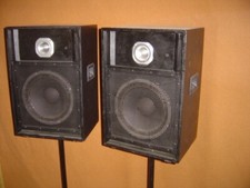 2 enceintes sono pro 250 W  2 voies  HP Beyma  poids: 22 Kg avec pieds