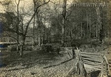c1915 Photo Photograph Indiana IN Peru Autumn Scene Trees Rustic Fence Leaves