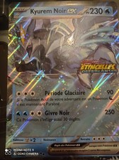  Cartes Pokémon Kyurem Noir