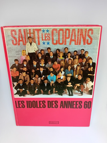 Livre les idoles des - idoles, années