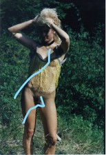 VINTAGE ART  PHOTO COULEUR  SNAPSHOT FARBFOTO