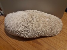 Décoration aquarium réplique