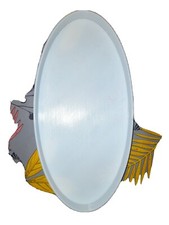 Tesoro detecteur de métaux protège disque elliptique  10''×5'' 