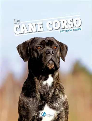 Cane corso collectif - le,