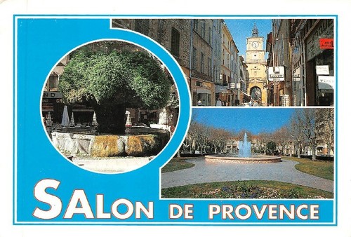 Salon provence fountain - salon,