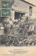 CPA 46 BACH LOU DESPOULLATZE