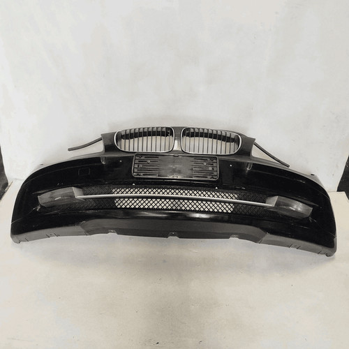 7185554 fourmi paraurthi - 09,