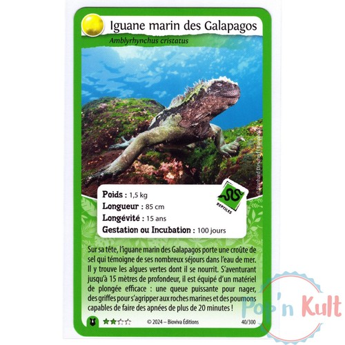 Carte défis nature - défis,