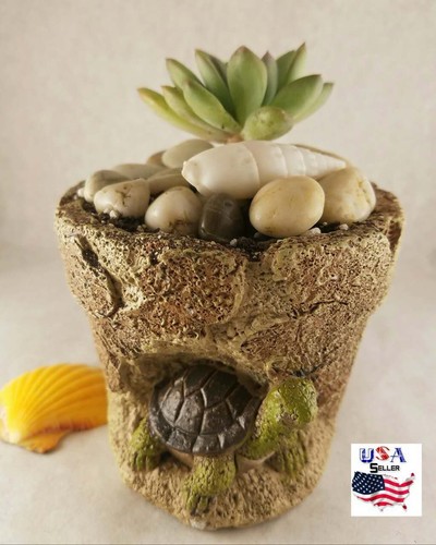 Succulent plant flower clay - succulent,