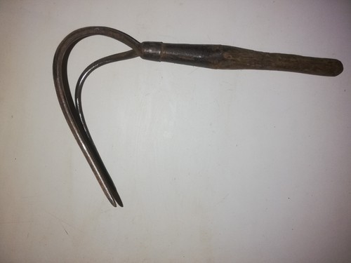 Curieuse fourche deux dents - curieuse,