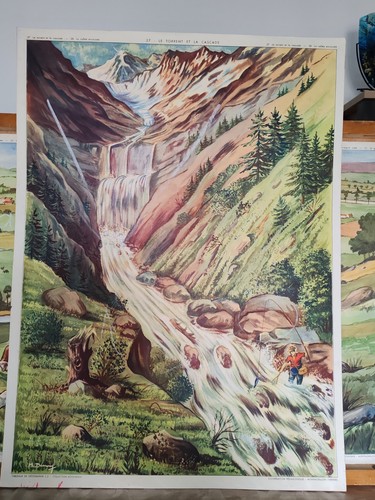 Affiche scolaire ecole - affiche,
