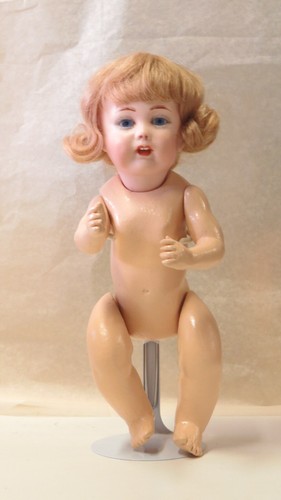 Benjamine ref 22 - ,