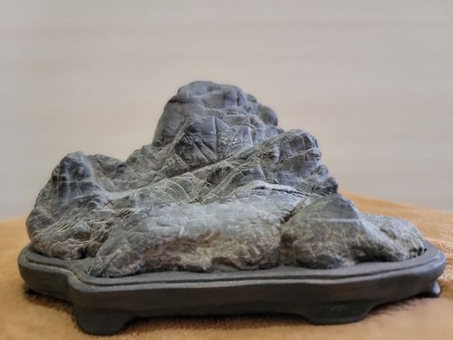 Suiseki bonseki bonsai - bonseki,