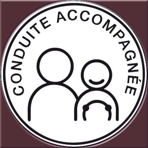 Disque électrostatique