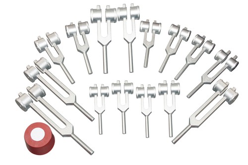 Humain corps orgue - corps, pièces