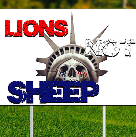 Lions not sheep yard - not,
