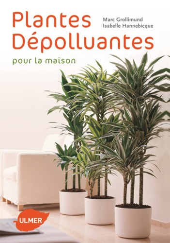 Plantes dépolluantes pour - , la