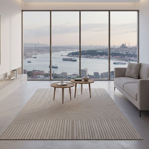 Tapis salon poils - salon,