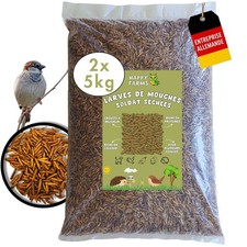 HappyFarms™ 10 kg Larves de mouches soldats – l’alternative aux vers de farine