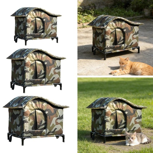 Maison pour chat errant - chat,
