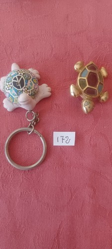 Tortues à porter en - porter,