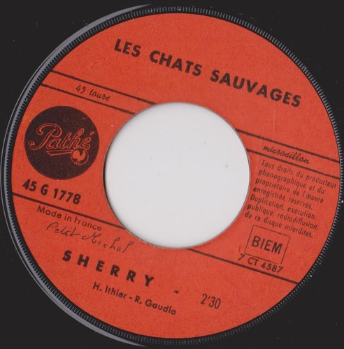 Les chats sauvages sherry - sherry, /